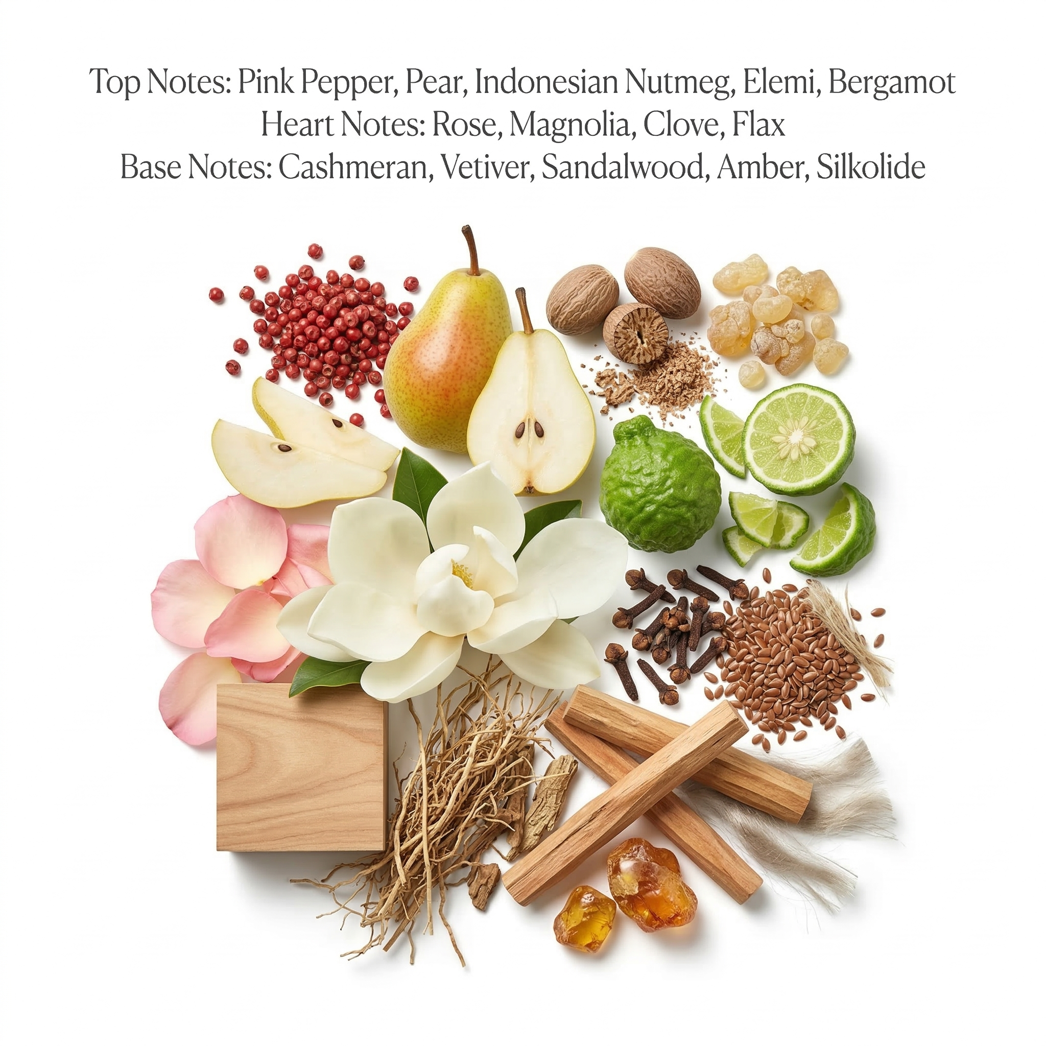 Dark Rose (Inspired by T0y B0y Bl@ck)