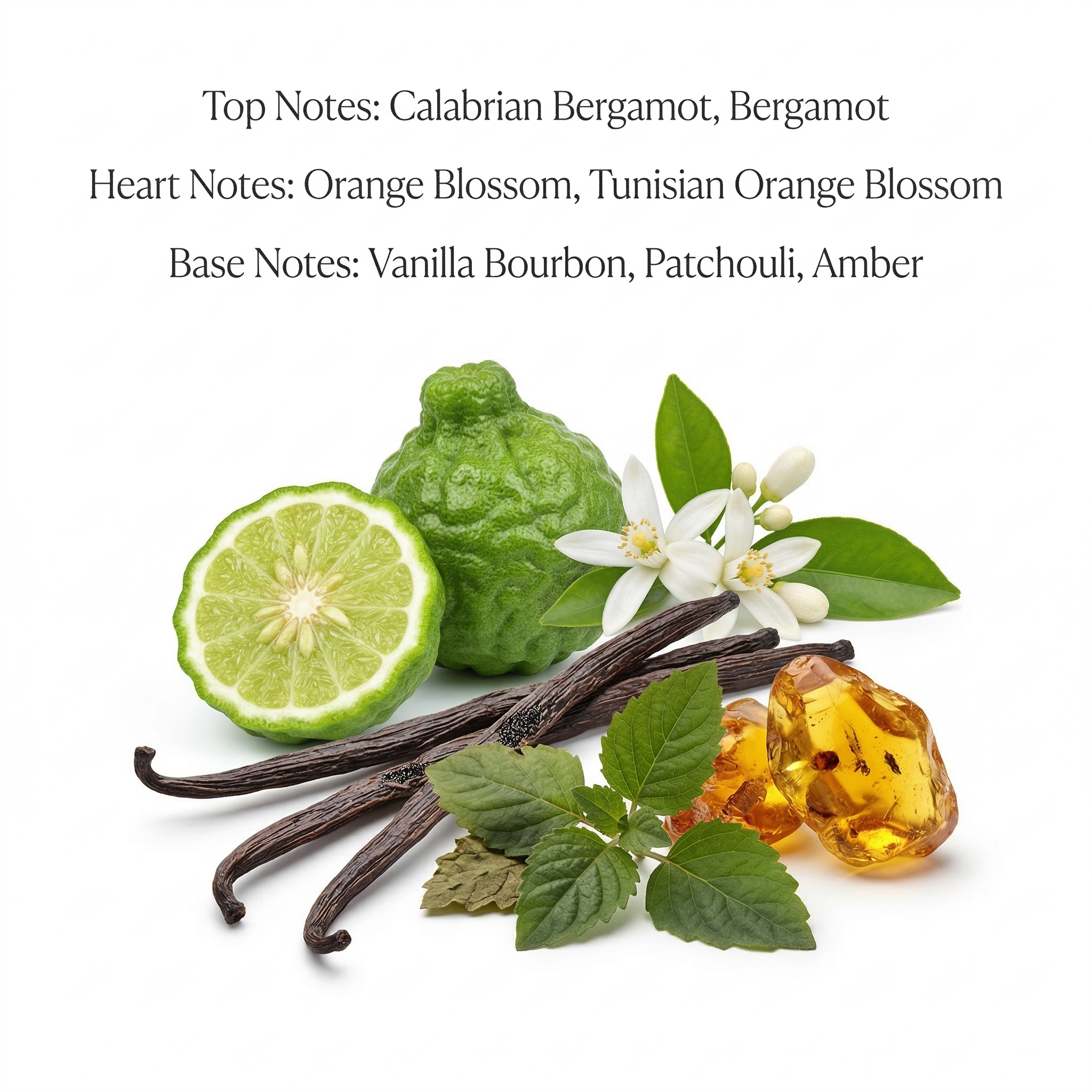 Meysef (Inspired by Y$L My$eIf Le Parfu®m)