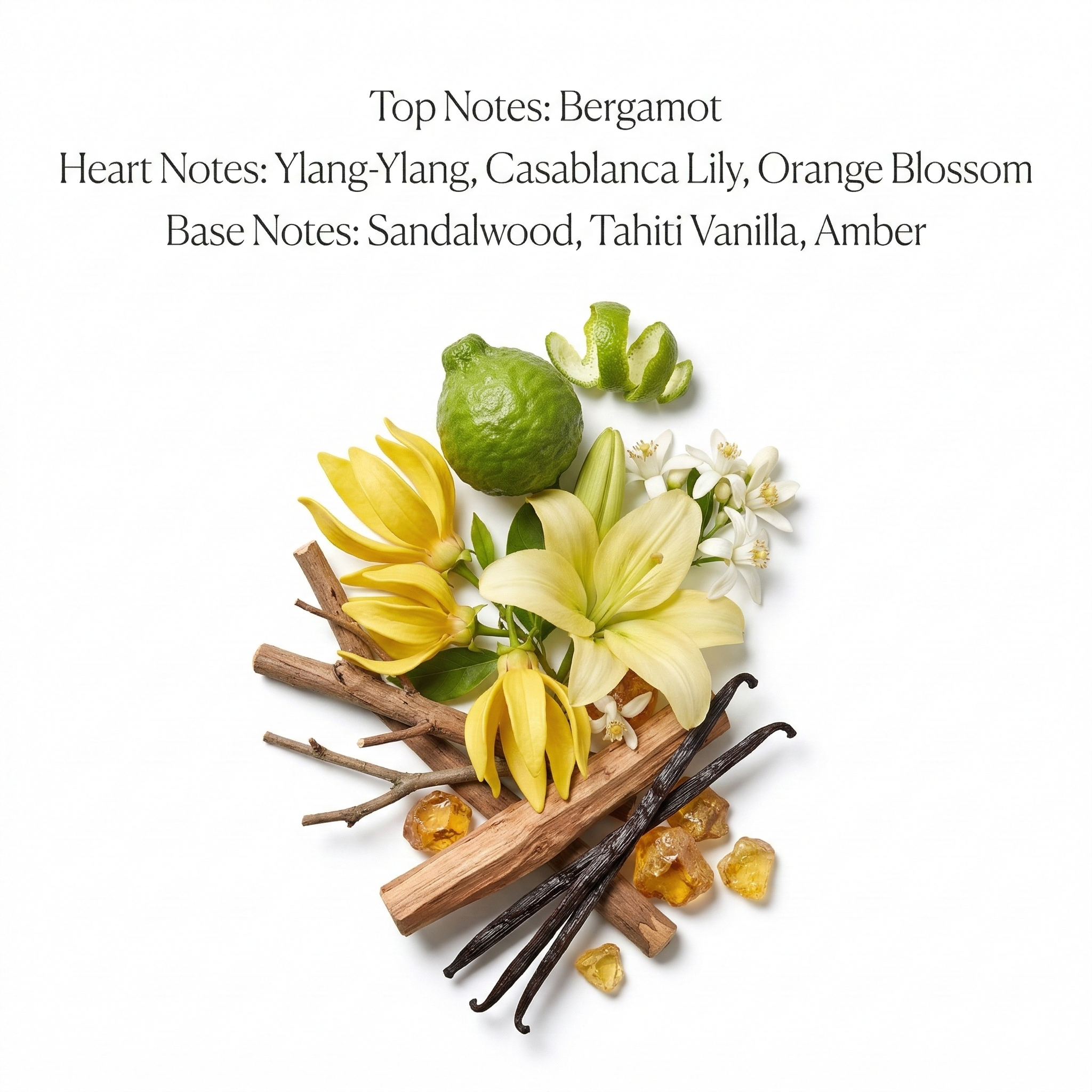 Pure Canopy (Inspired by B@mb00)