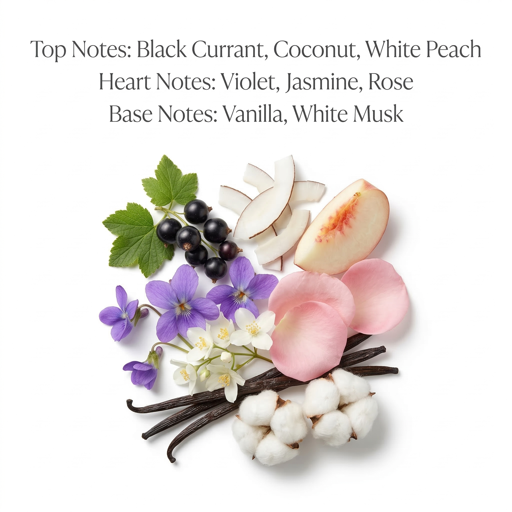 Silk Sugar (Inspired by Bl@ck V@n!ll@)